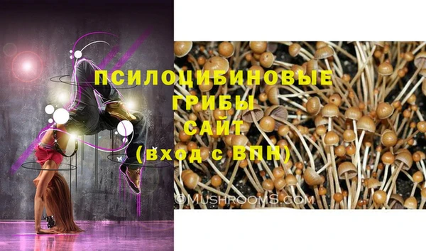 кокс Аркадак