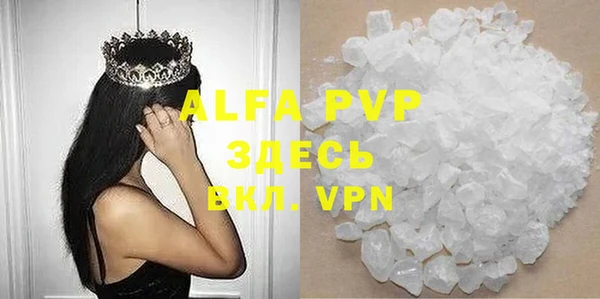 шишки Заволжье