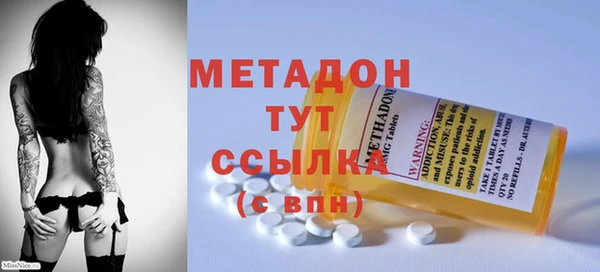 ПСИЛОЦИБИНОВЫЕ ГРИБЫ Инта