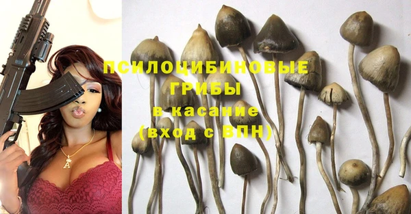 круглые Арсеньев