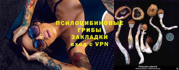 кокс Аркадак