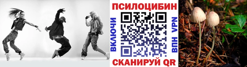 OMG вход  площадка состав  Галлюциногенные грибы мицелий  Суджа 